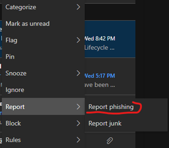 Report_Phishing.jpeg